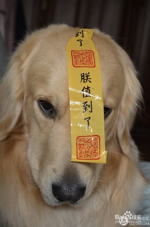 众测报告 酷壳智能手机壳(充电版)开箱使用体验