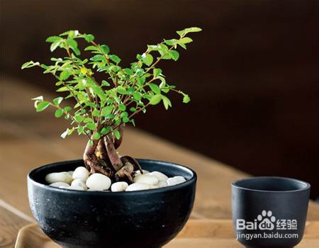 路边石头的各种用途