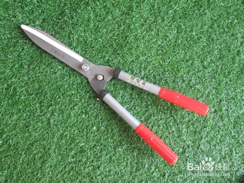 大平剪的使用和养护