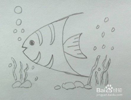 鱼的画法教程 1 怎么画 如何画鱼 画鱼方法 百度经验