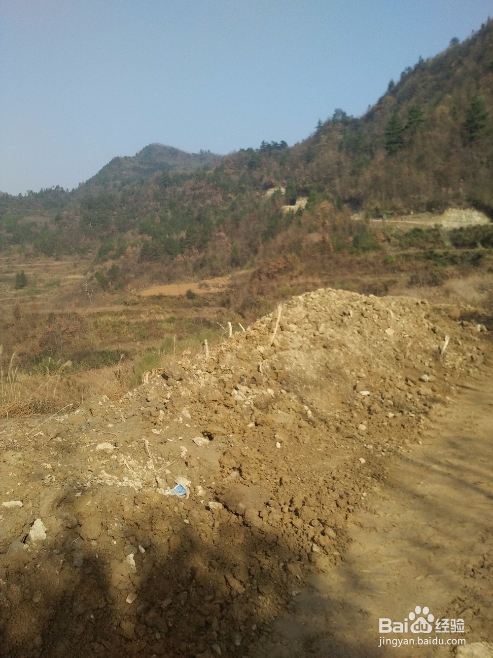 扶贫实现鸣凤人乡村旅游梦想记实