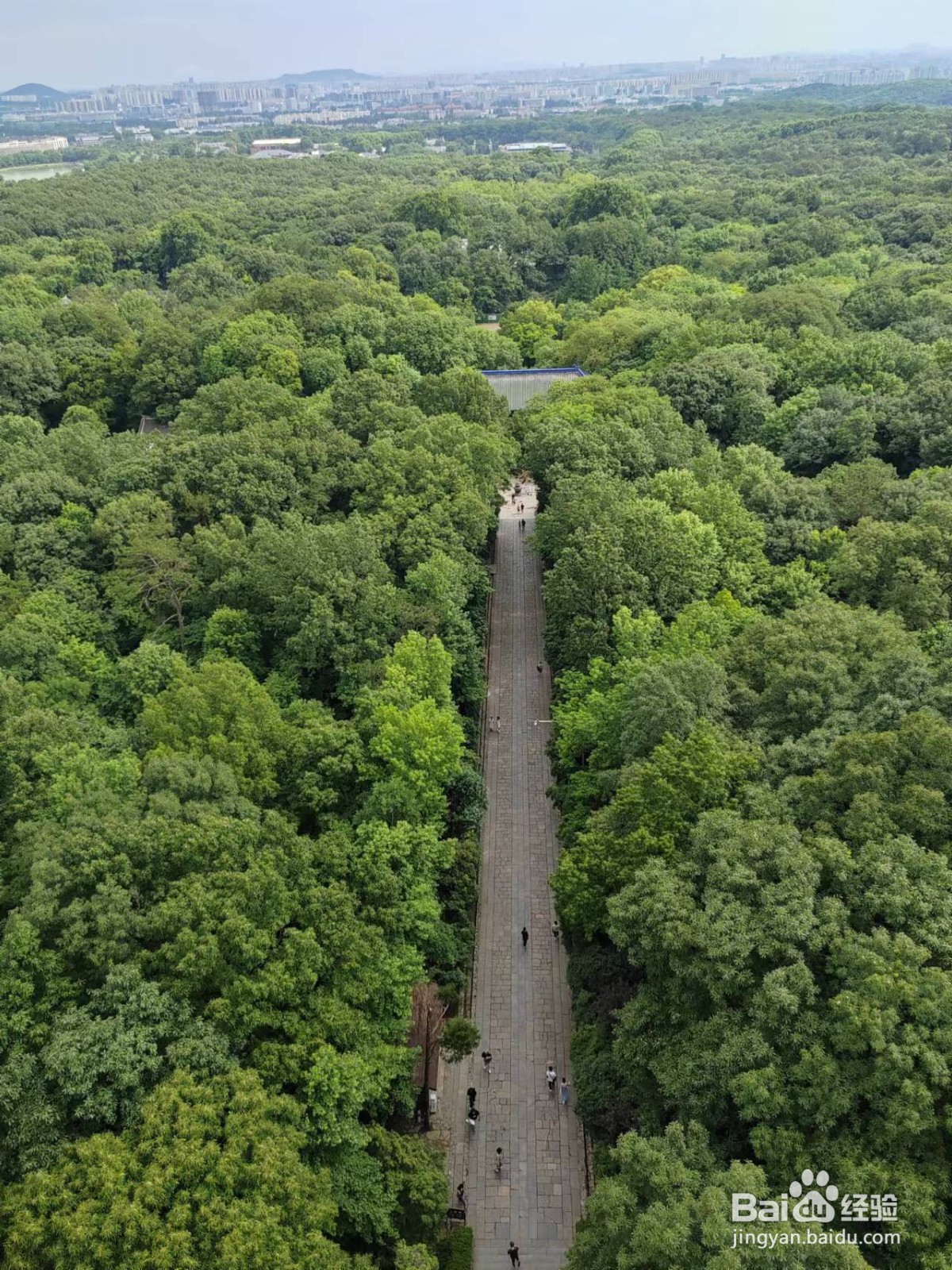 南京旅游攻略