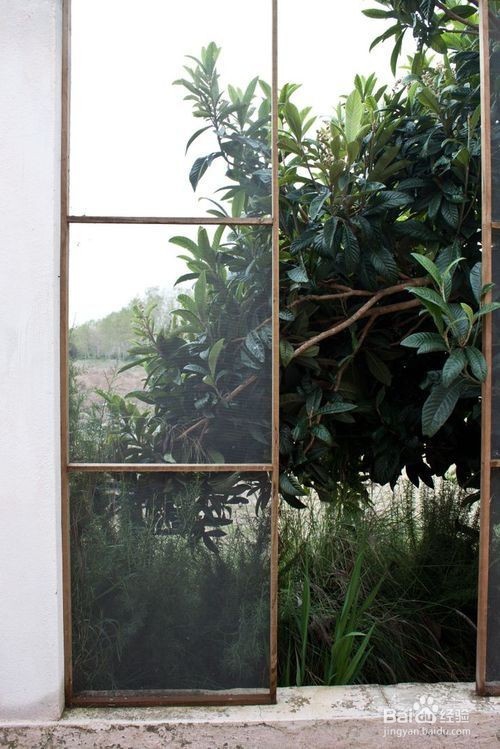 装修污染的危害以及怎样解决