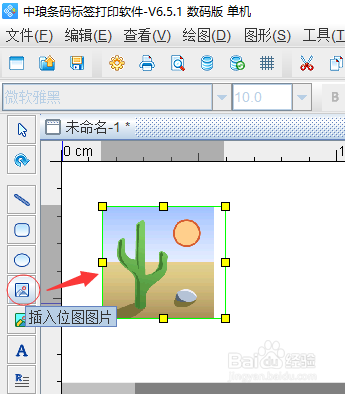 如何快速导入图片