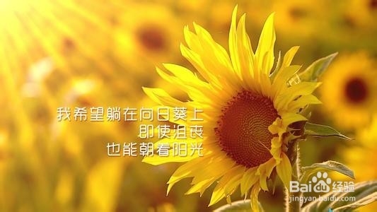 经常外出要学会带行李