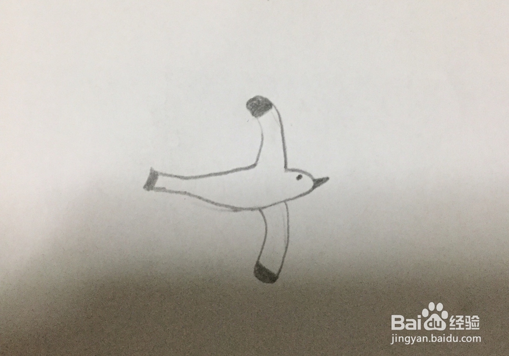 小鸟的画法简笔画