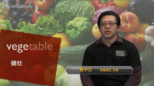 vegetable是什么意思