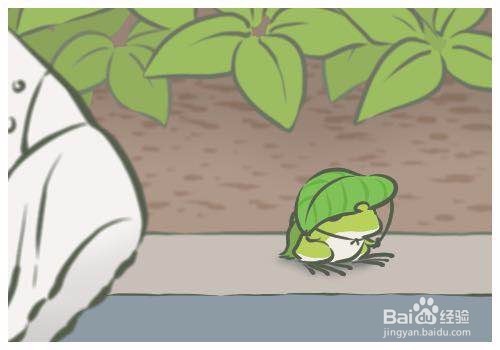 旅行青蛙从新手到“老母亲”