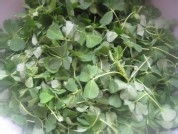 鸡油草头怎么做