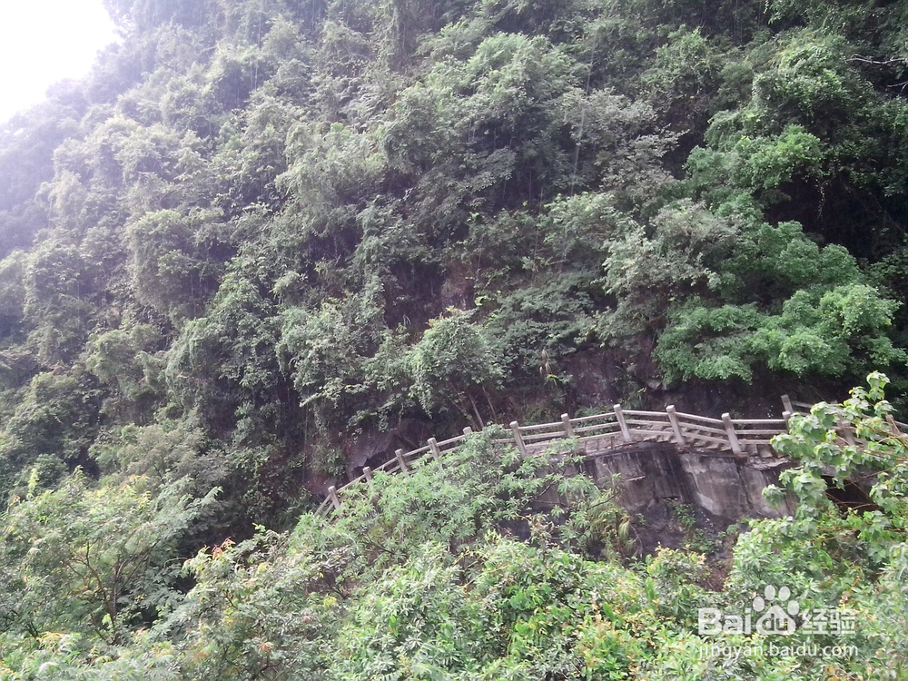 银瓶山森林公园（东莞内）