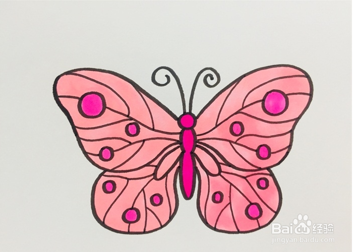 蝴蝶的花纹怎么画