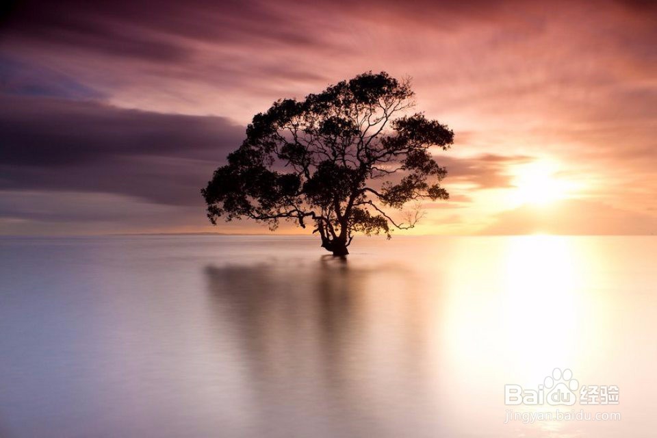 中學生每天吃多少蔬菜水果比較合適？