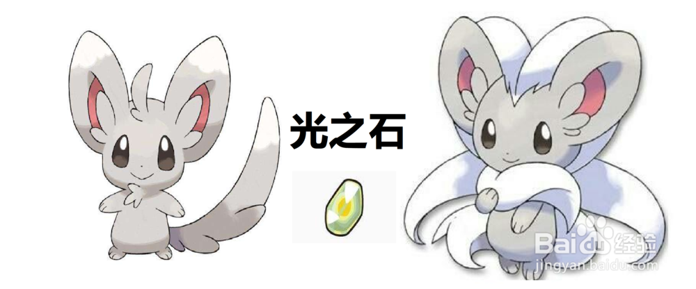 pokemmo泡沫栗鼠怎么进化