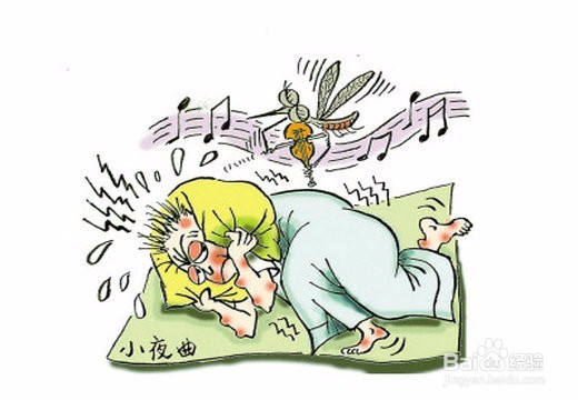 这几类人最招蚊子