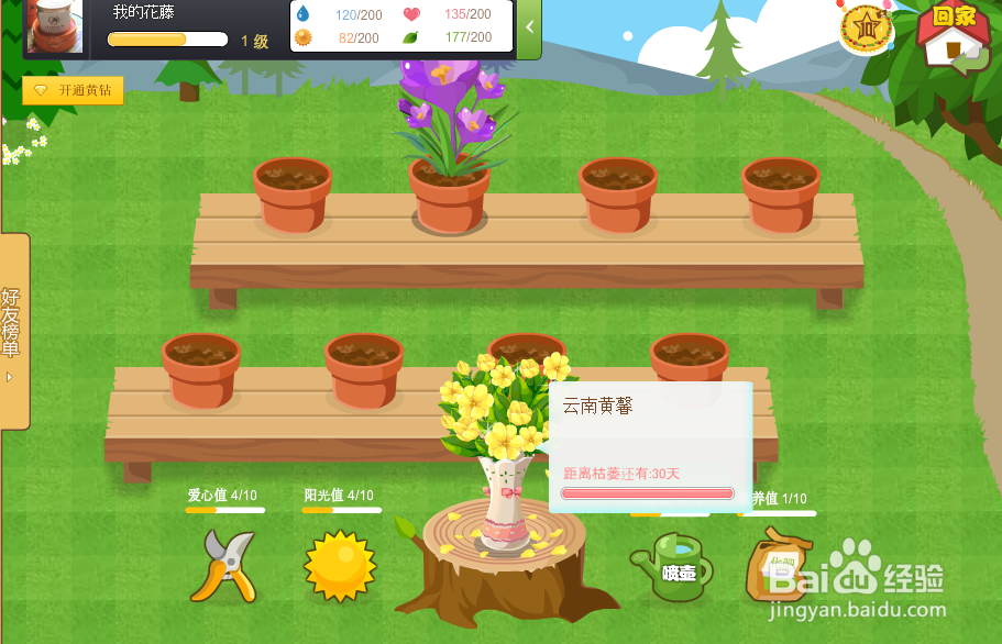 QQ空间新版花藤怎么养花快,养花少用一天的方法