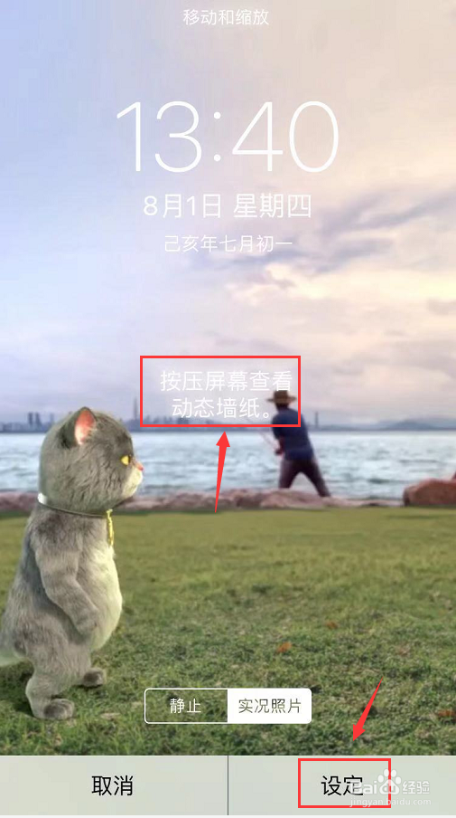 苹果怎么设置动态壁纸