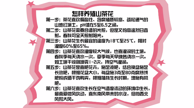 怎样养殖山茶花