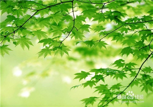怎么样预防近视