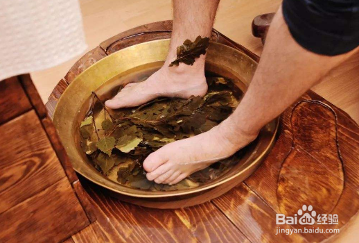 夏季养肾护肾的方法有哪些