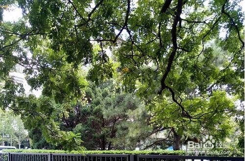 青年良品再升级 续航能力超强魅蓝E2评测