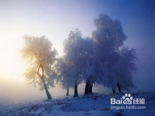 【我爱摄影】人间仙境：雾景拍摄技巧