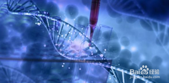 电子处方（药精灵）是什么