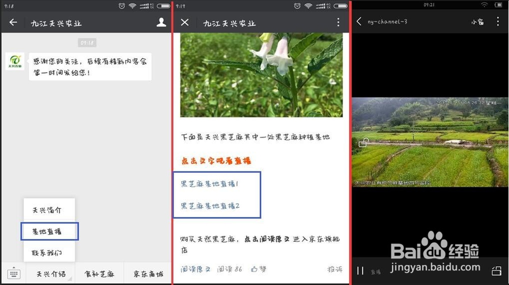 如何将电视频道节目信号嵌入微信公众号进行直播