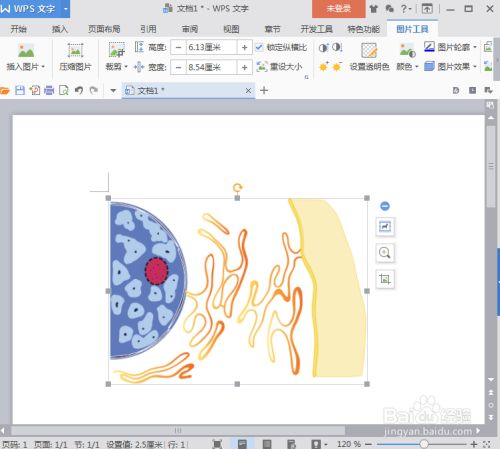 3c42a5ea3e86304802c48860c33104ebf7a752df.jpg?x-bce-process=image%2Fresize%2Cm_lfit%2Cw_500%2Climit_1%2Fformat%2Cf_jpg%2Fquality%2Cq_80