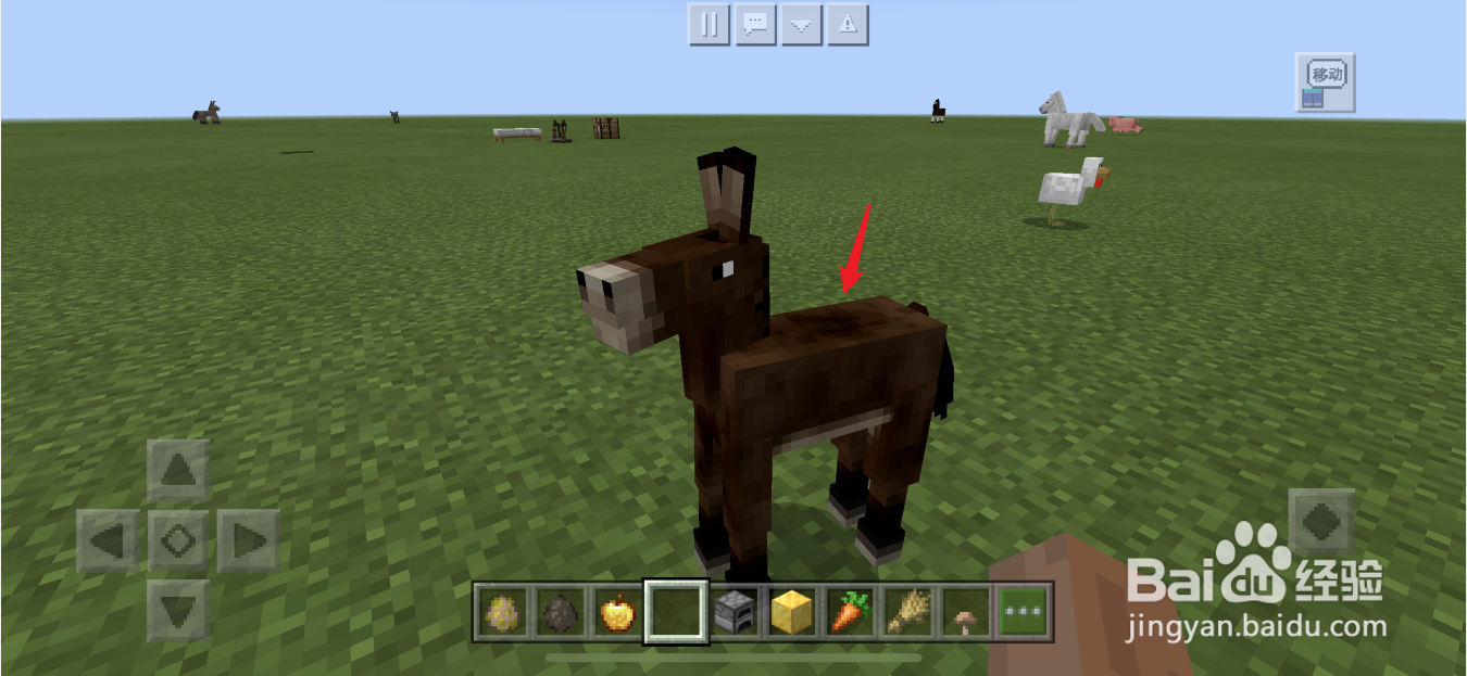 我的世界骡子怎么获得
