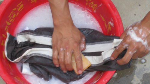 一步一步教你如何洗衣服