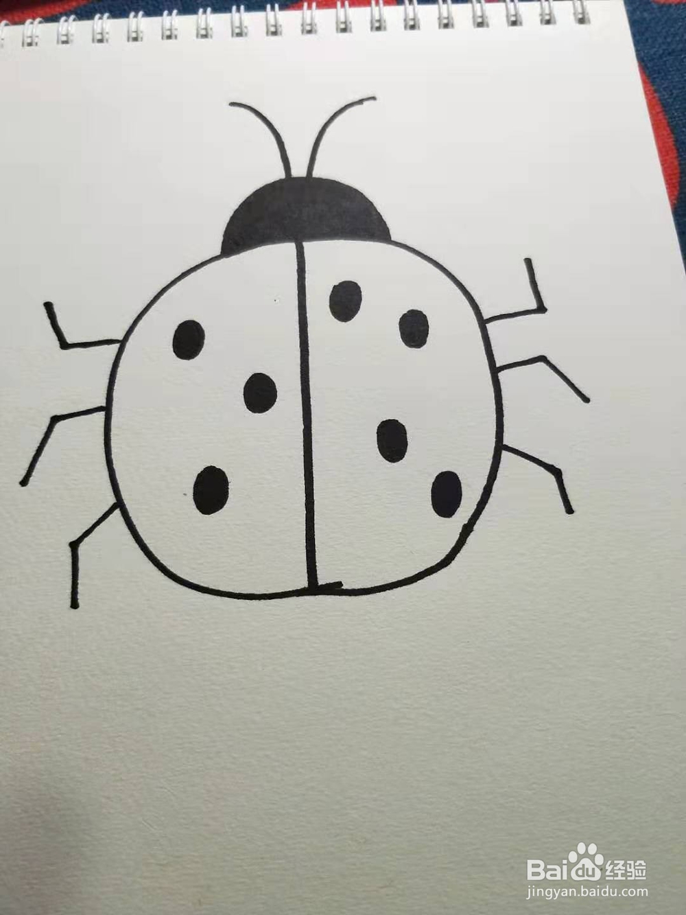 如何画七星瓢虫简笔画