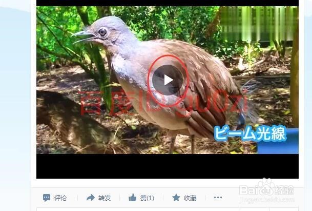 QQ空间视频自动播放取消方法教程