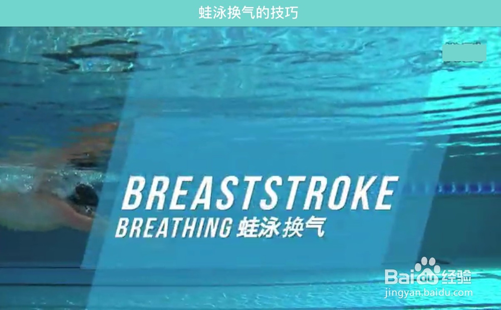 怎么学习游泳之蛙泳技巧