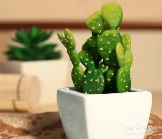 办公室里养这几种植物,让大家一整天精神抖擞