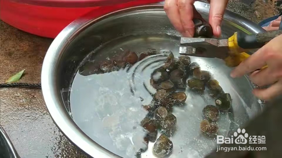 田螺的详细做法