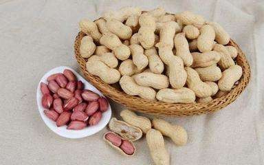 可以加快怀孕的一些方法