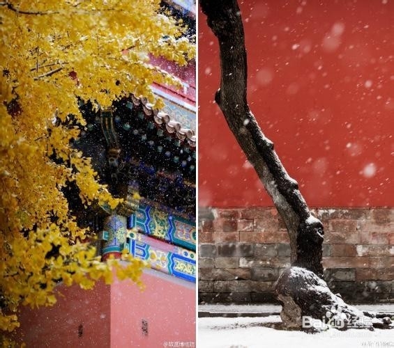 简历的措辞上如何改善?