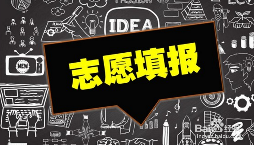 浙江志愿怎么填报