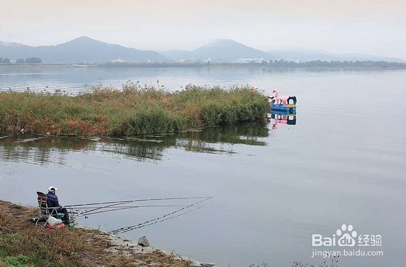 关于在钓鱼饵料中添加食盐和味精的作用你知道吗