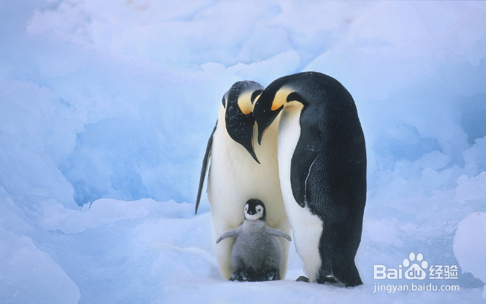 怎样释放压力和不良情绪？