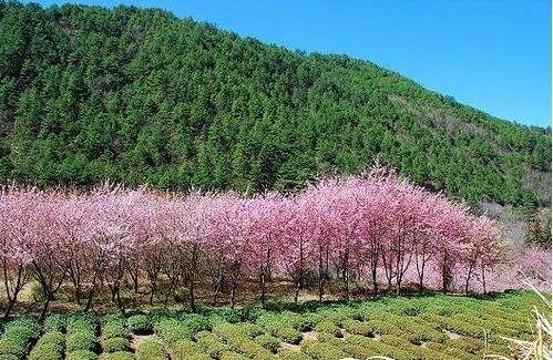 【最美的风景】去台湾旅游必看的景点