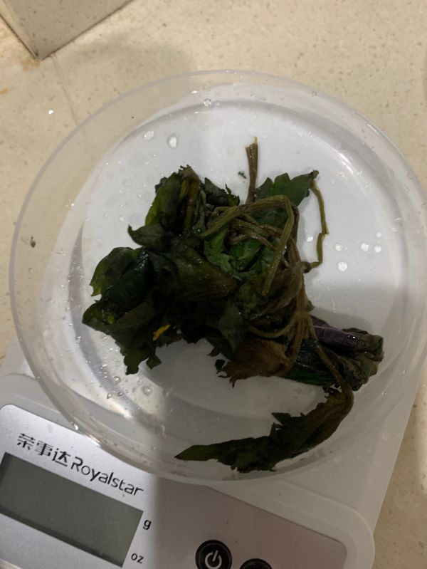 鲍鱼花菇玉竹煲排骨