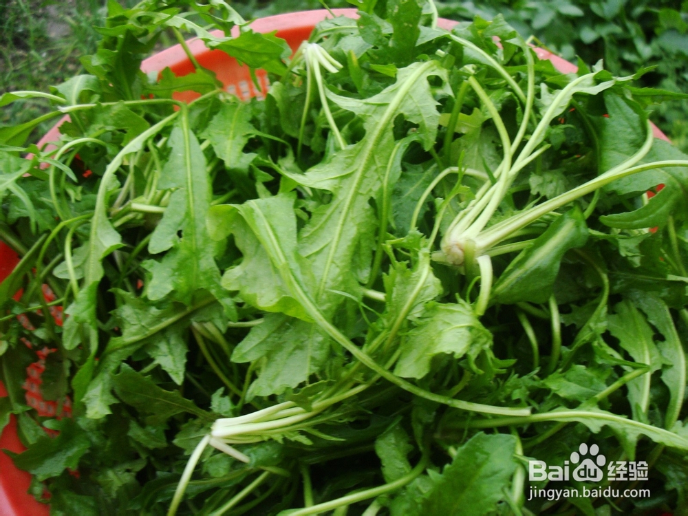 养生汤－女人最爱的素汤