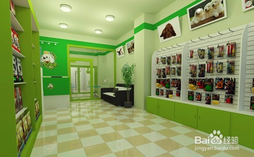 开宠物店需要多少钱