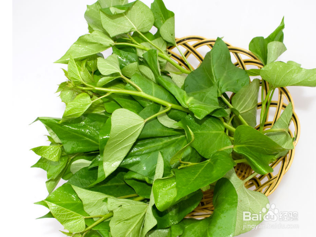 地瓜叶有什么好处?
