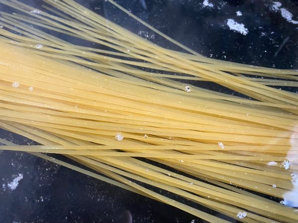野餐便当虾仁意面