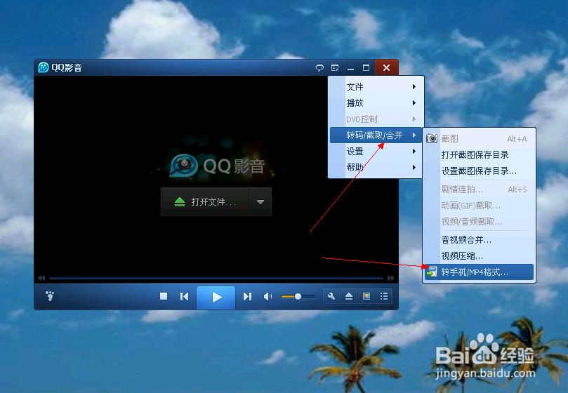 怎么转换视频格式?(qq影音版)