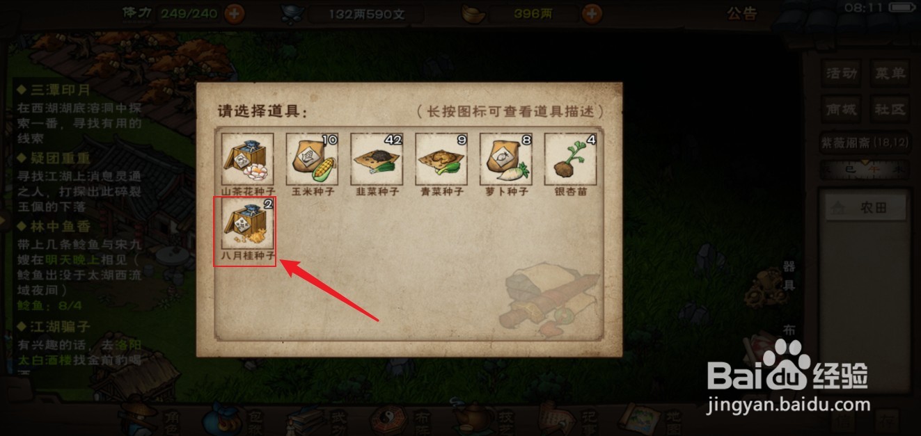 烟雨江湖八月桂花怎么种