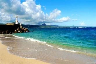 春天到了,你想好去哪儿旅游了吗