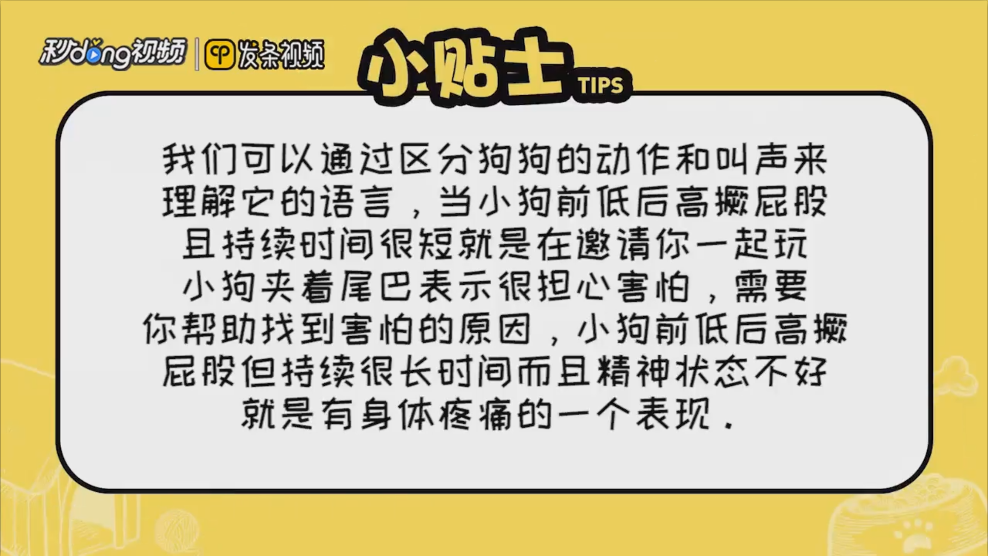 如何听懂狗狗的语言